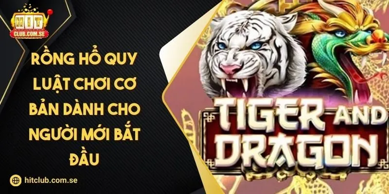 Rồng Hổ